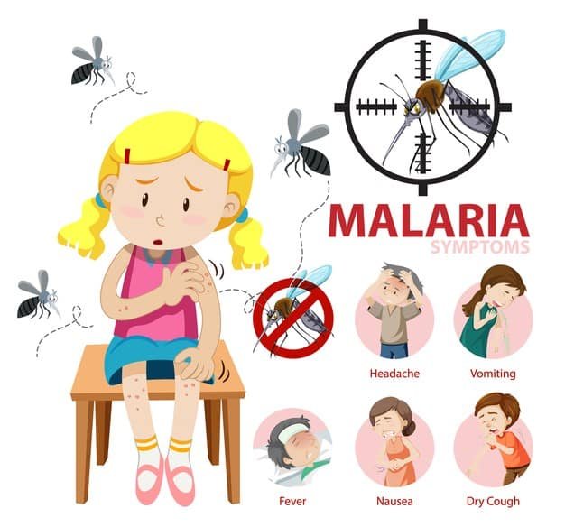 Malaria OMS Annuncia storico Vaccino Per I Bambini Decimati Ogni 
